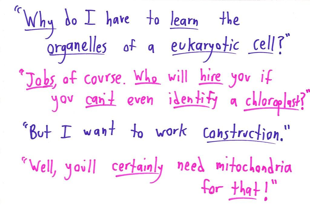 Eight cards apply common attitudes about math (math people, innate gifts, gender myths, 'when will I use this,' drills, real-world relevance) to Spanish, history, sociology, biology, art, soccer, music and literature. (panel 4 of 8)