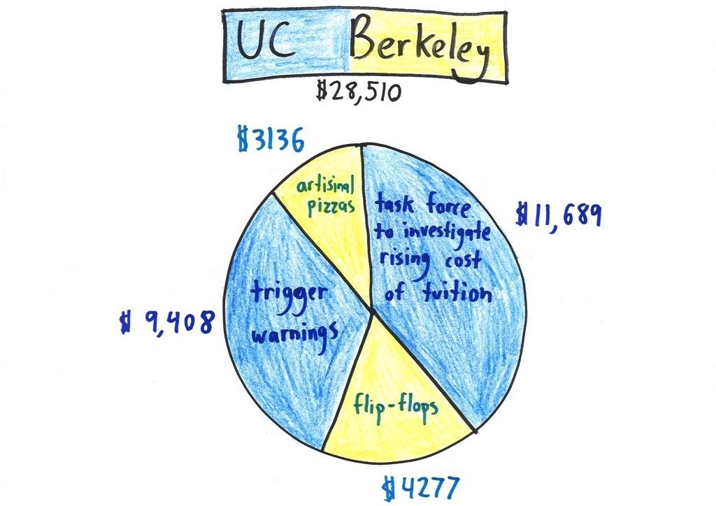 Ten satirical pie charts of where tuition goes at Berkeley, Syracuse, Princeton, Duke, MIT, USC, UW Madison, NYU, Ohio State and Hogwarts. (panel 1 of 10)