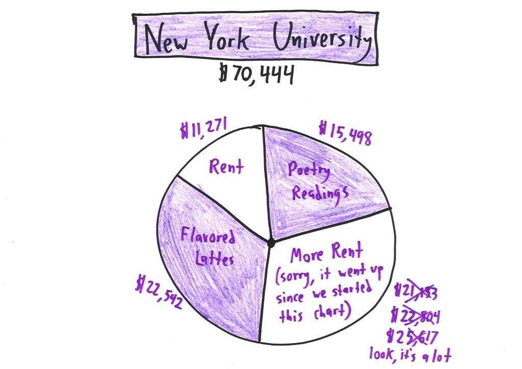 Ten satirical pie charts of where tuition goes at Berkeley, Syracuse, Princeton, Duke, MIT, USC, UW Madison, NYU, Ohio State and Hogwarts. (panel 8 of 10)