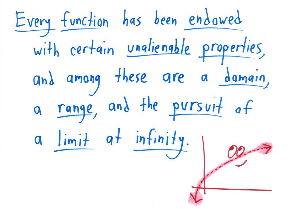 A Declaration of Independence parody: every function's unalienable properties are domain, range, and the pursuit of a limit at infinity.