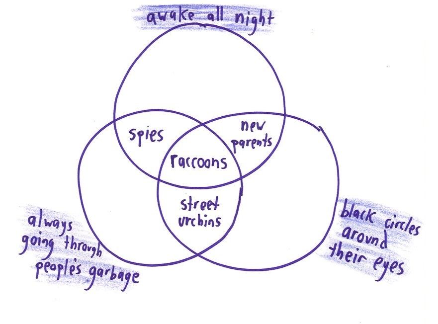 Twelve silly Venn diagrams of everyday things, with two or three overlapping categories and a surprising item in the middle: raccoons, fortune cookies, carpets, ice hockey. (panel 1 of 12)