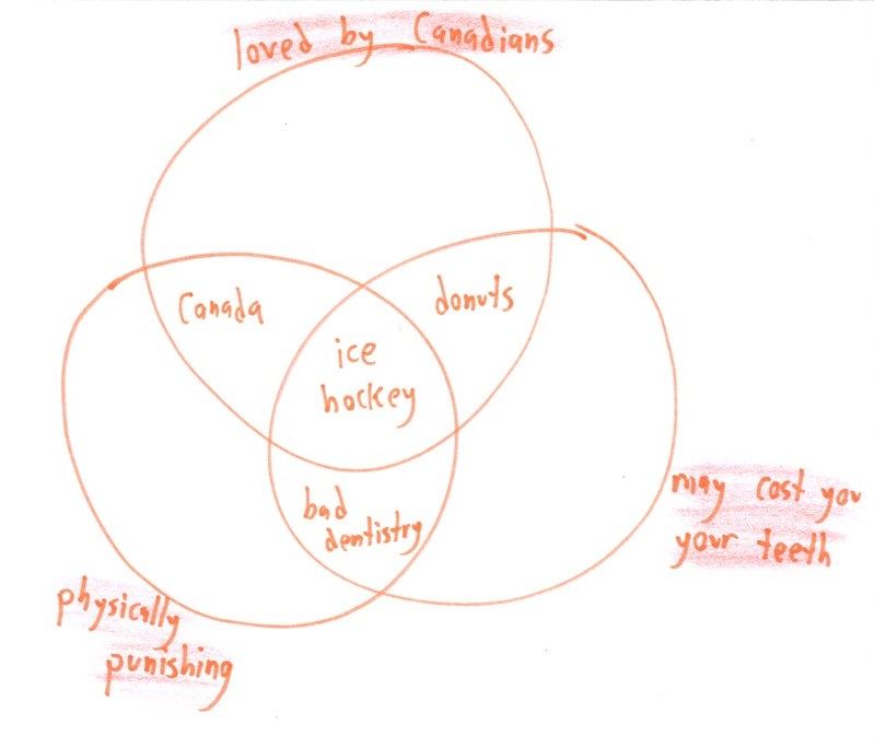 Twelve silly Venn diagrams of everyday things, with two or three overlapping categories and a surprising item in the middle: raccoons, fortune cookies, carpets, ice hockey. (panel 10 of 12)
