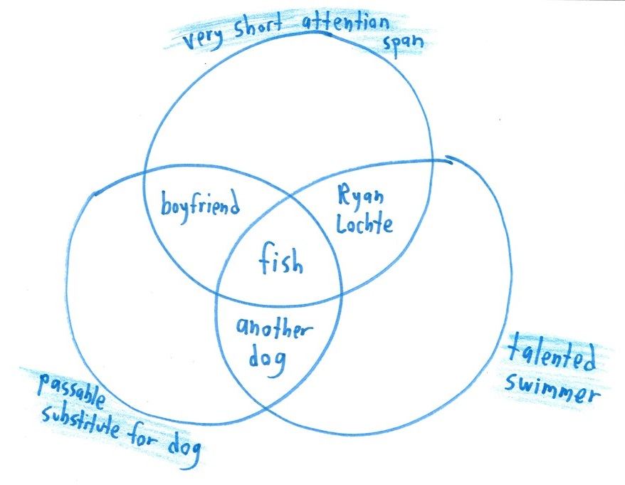 Twelve silly Venn diagrams of everyday things, with two or three overlapping categories and a surprising item in the middle: raccoons, fortune cookies, carpets, ice hockey. (panel 3 of 12)