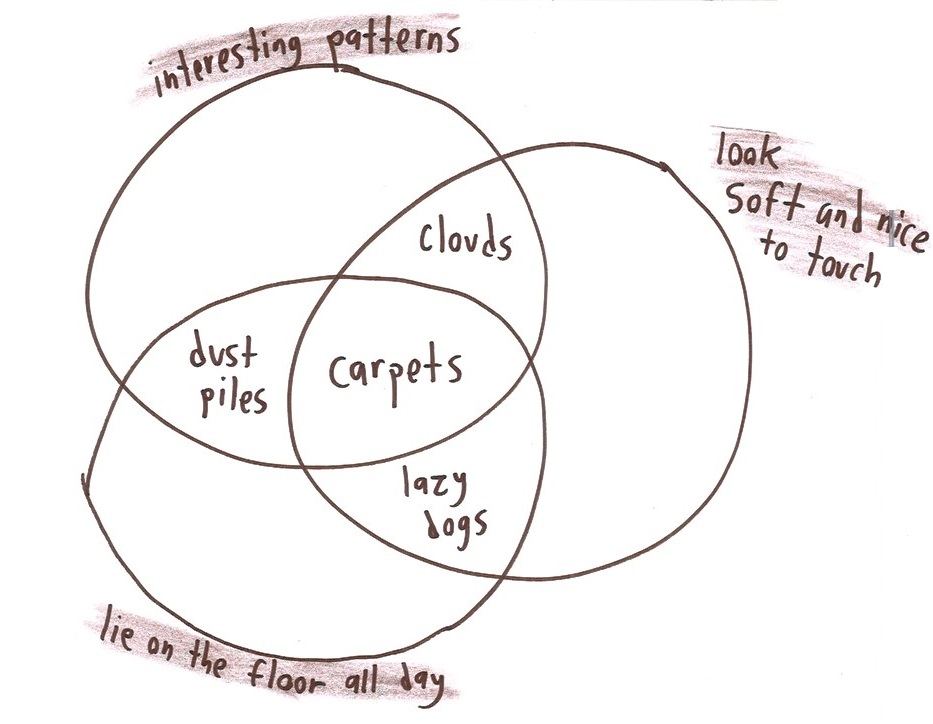 Twelve silly Venn diagrams of everyday things, with two or three overlapping categories and a surprising item in the middle: raccoons, fortune cookies, carpets, ice hockey. (panel 5 of 12)