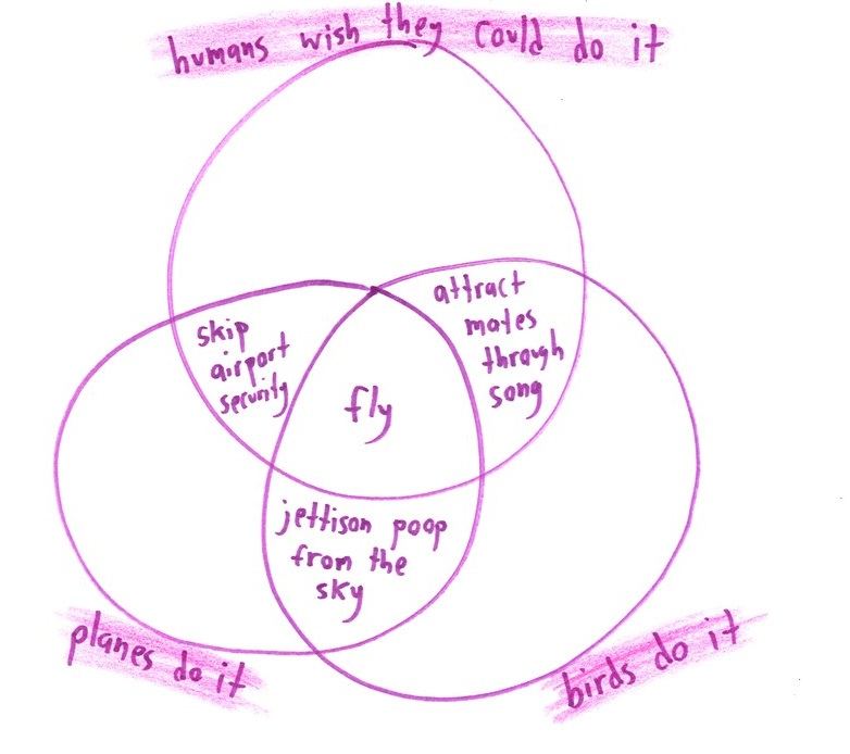 Twelve silly Venn diagrams of everyday things, with two or three overlapping categories and a surprising item in the middle: raccoons, fortune cookies, carpets, ice hockey. (panel 8 of 12)