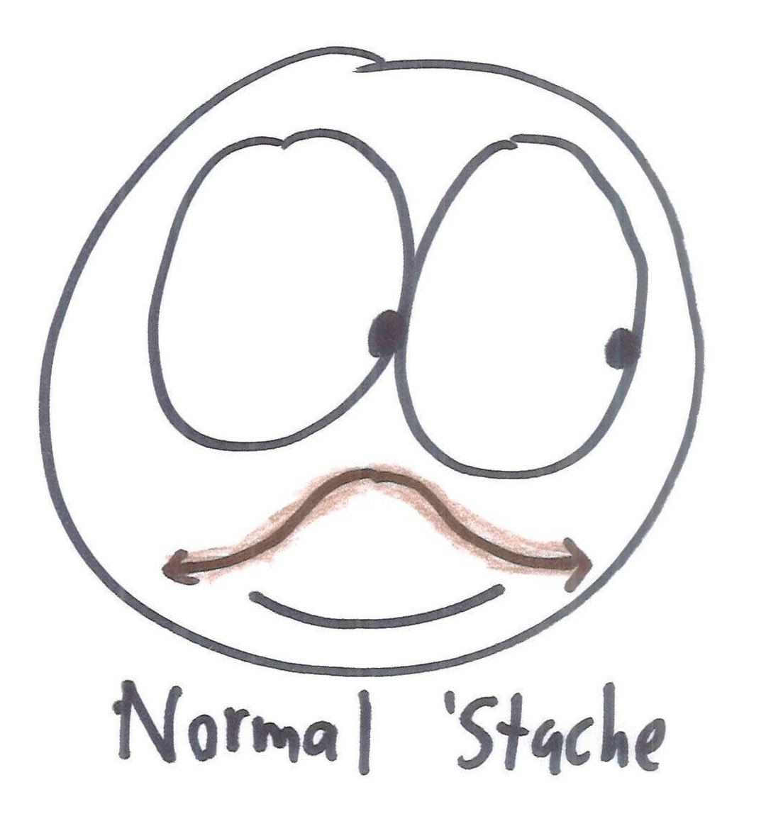 Eighteen mathematical mustaches and beards: parabola, square root, Cantor set, sine and cosine waves, a graph, the null 'stache, a normal curve, absolute value, a Sierpinski soul patch and more. (panel 14 of 18)