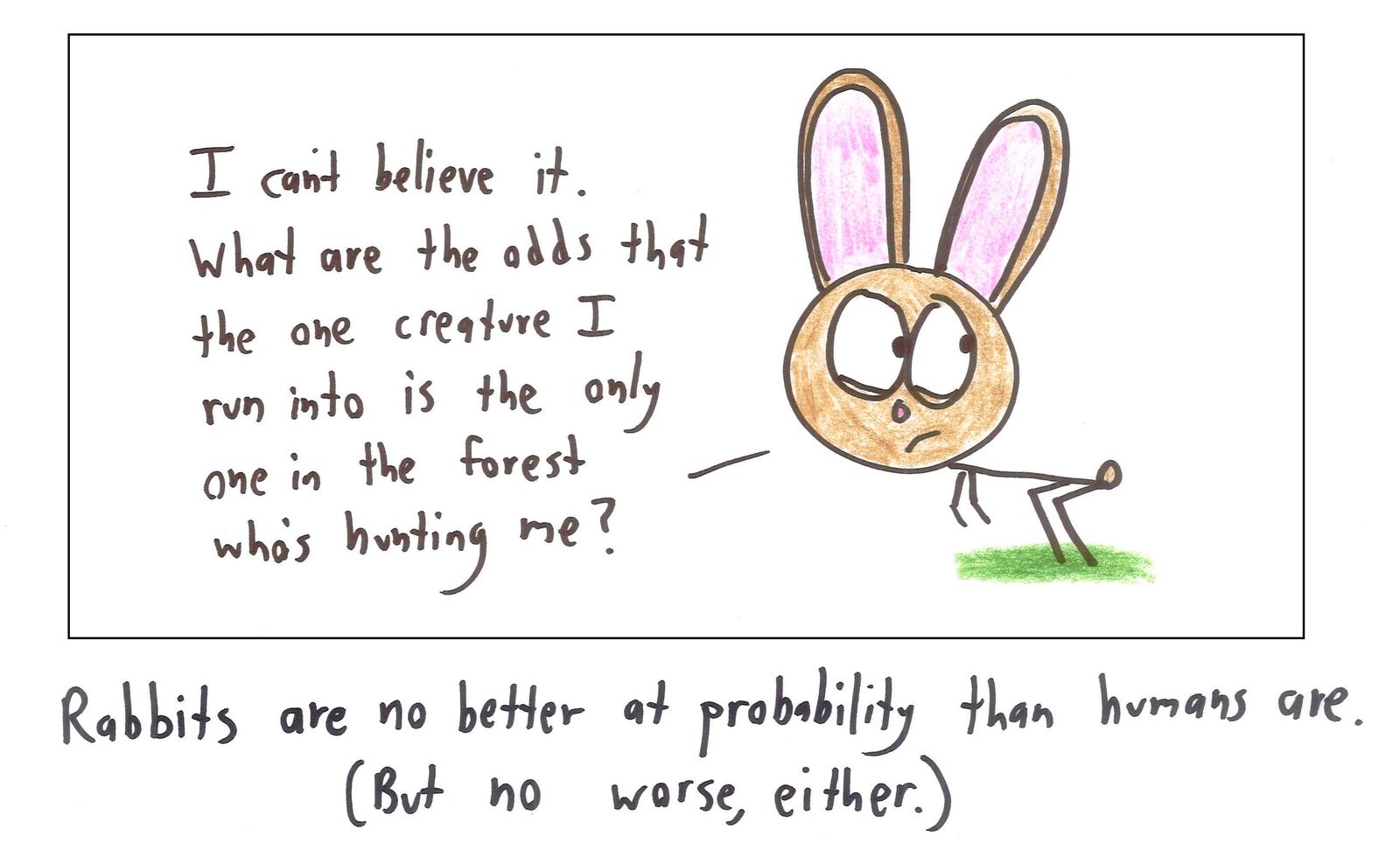 A rabbit marvels at its bad luck in meeting its one predator, failing to see that it ran into the predator because it was being hunted.
