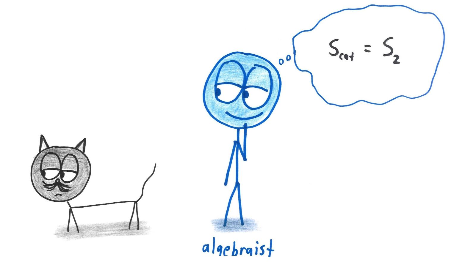 The algebraist sees the cat's symmetry group: S_cat = S₂.