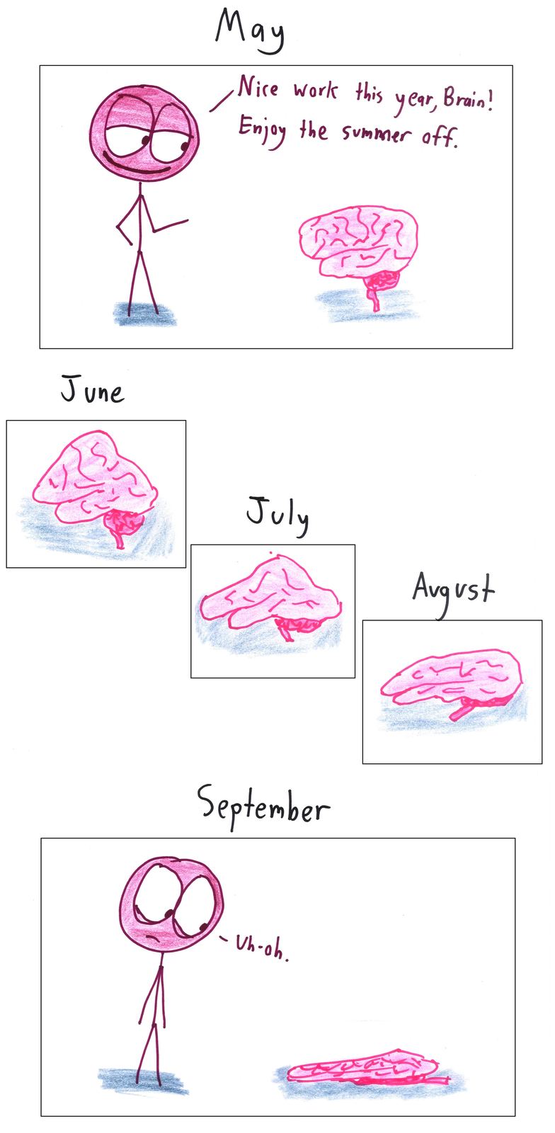 A student gives their brain the summer off; month by month it slumps until it's a puddle by September.