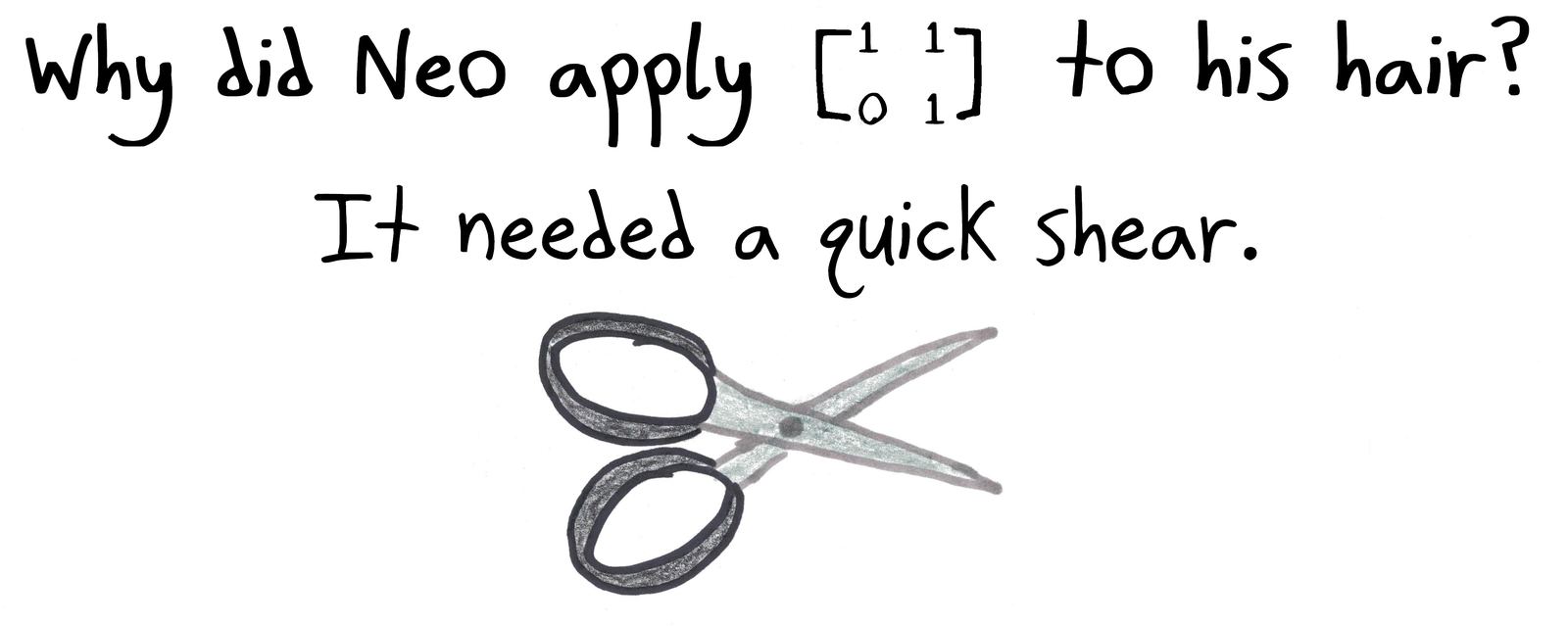 A Matrix joke: Neo applies a shear matrix to his hair.