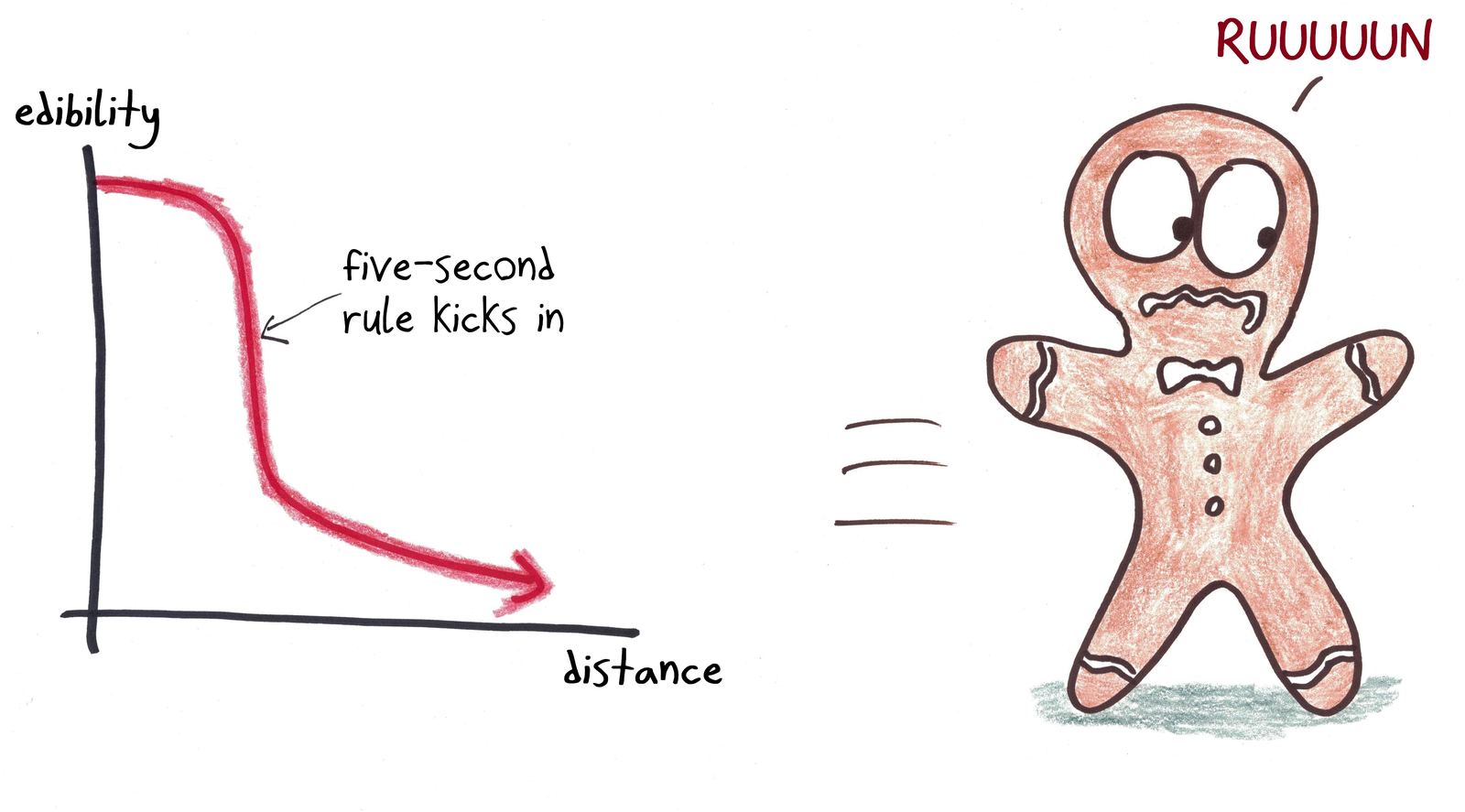 A graph shows a gingerbread man's edibility dropping as he runs farther, with a cliff where the five-second rule kicks in.