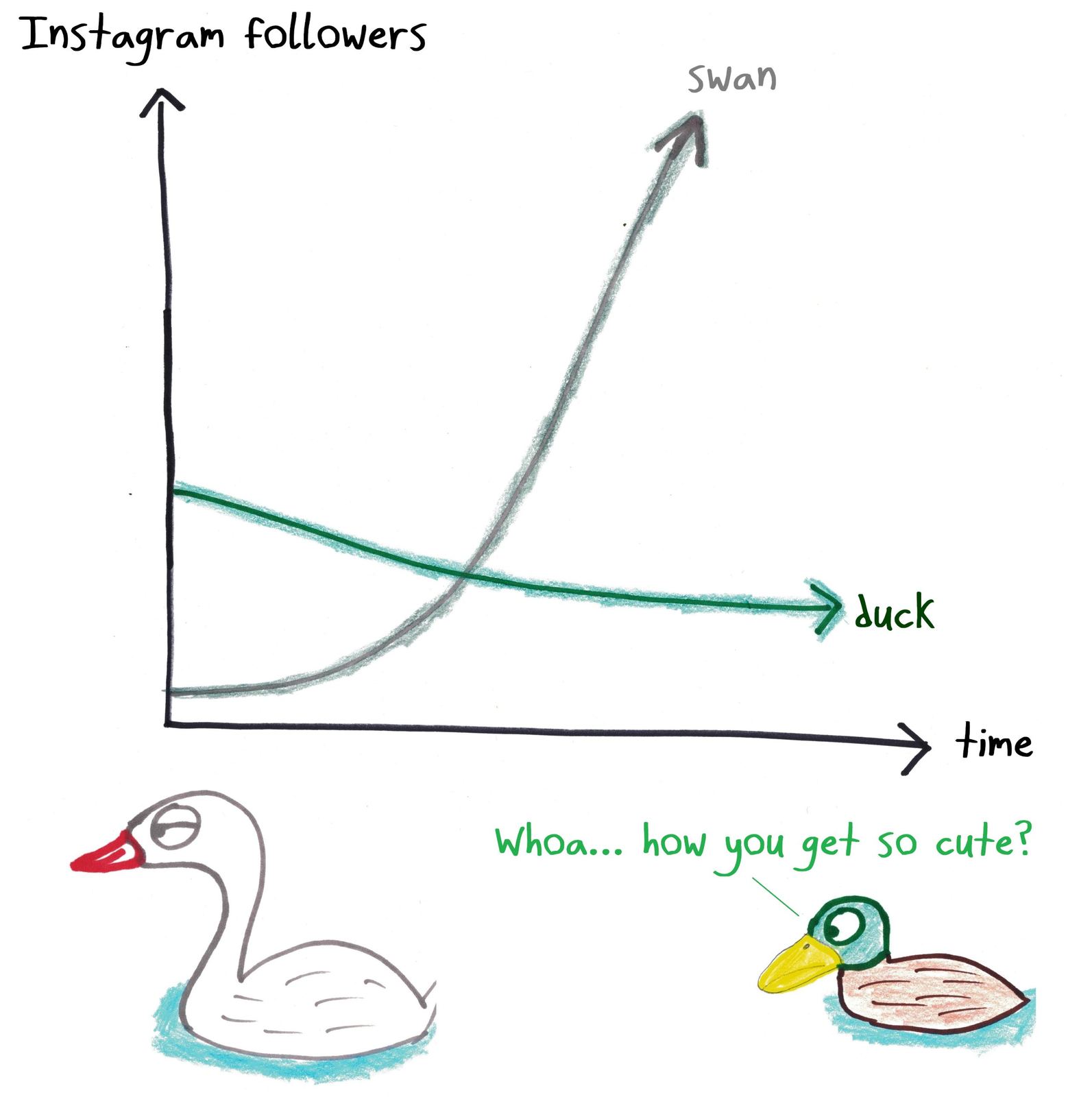 The Ugly Duckling as a graph of Instagram followers: the swan starts below the duck and then grows explosively.