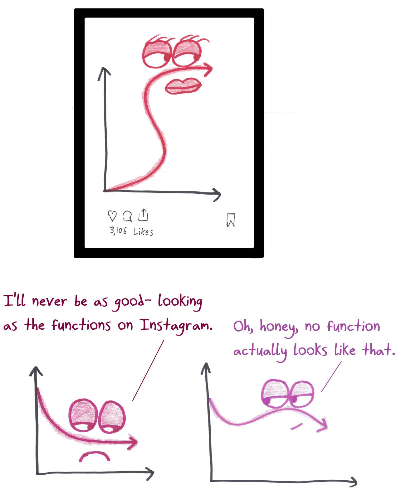 A sad decreasing graph envies a glamorous curve on Instagram; a friend notes that curve fails the vertical line test.