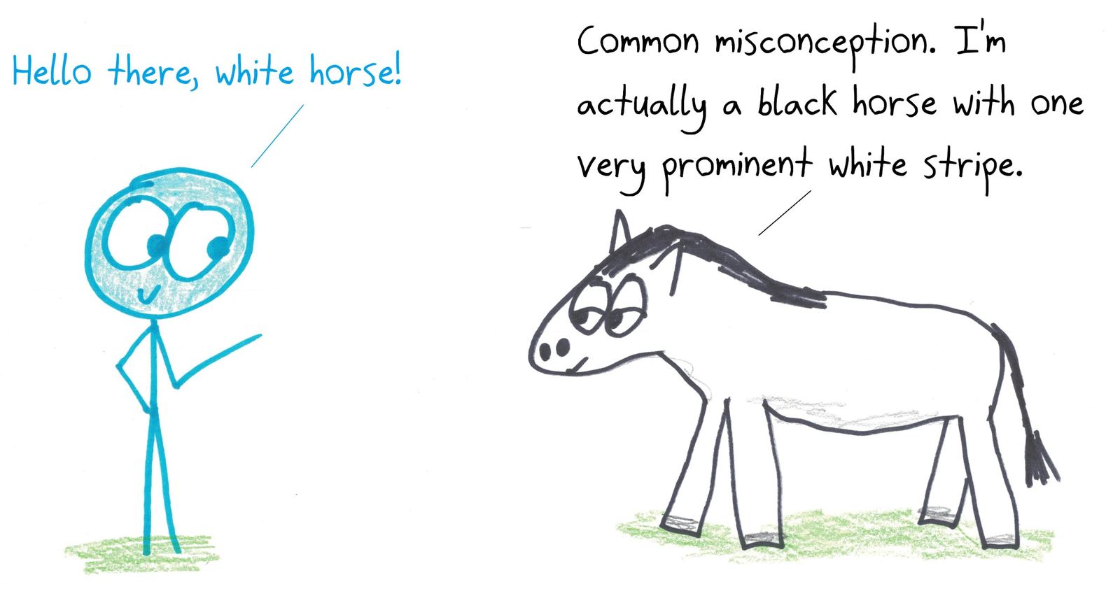 A white horse (with a black mane and tail) insists it's really a black horse with one very prominent white stripe. Same picture, different description, the zebra question taken to its logical extreme.