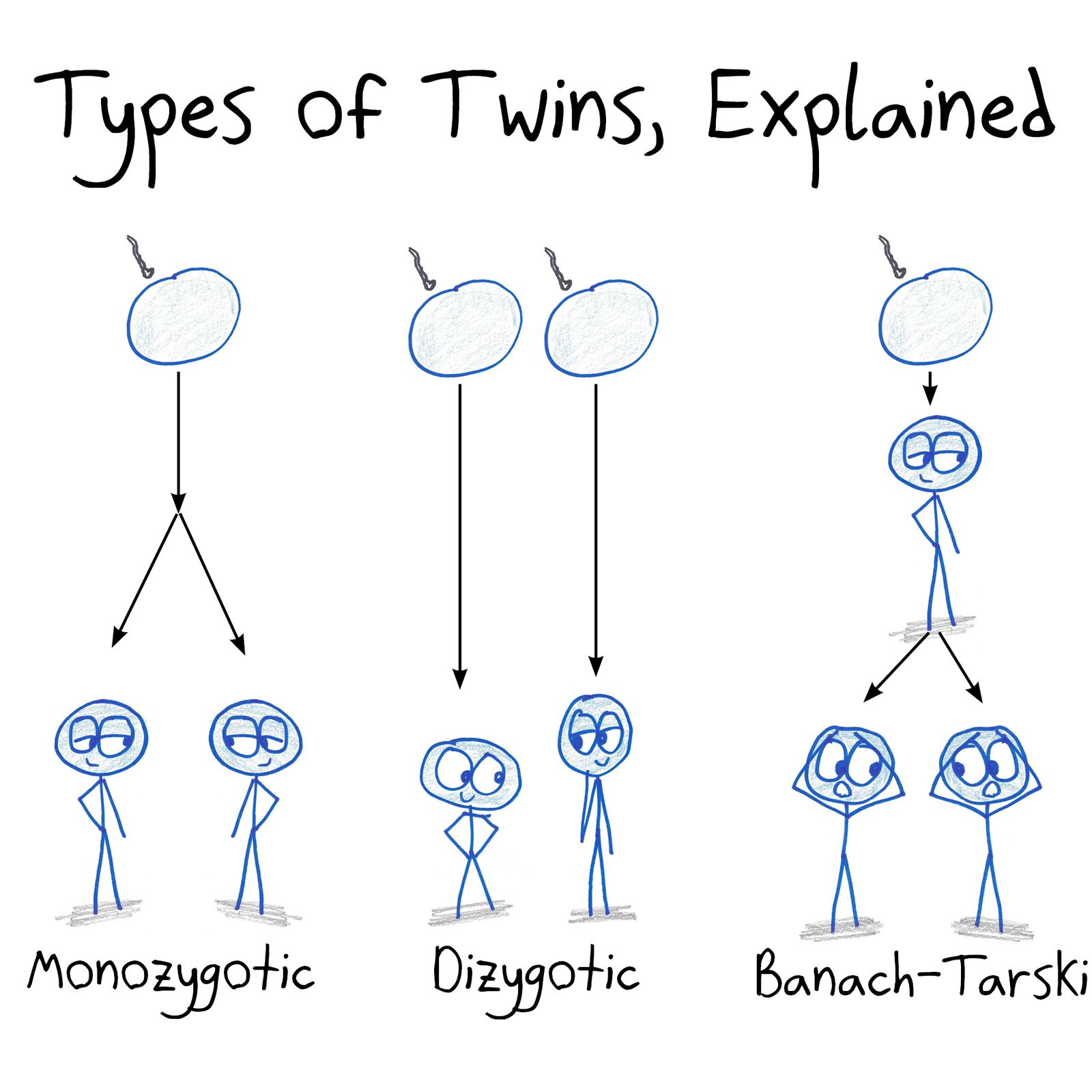 Identical twins, fraternal twins, and Banach-Tarski twins: one person decomposed and reassembled into two.