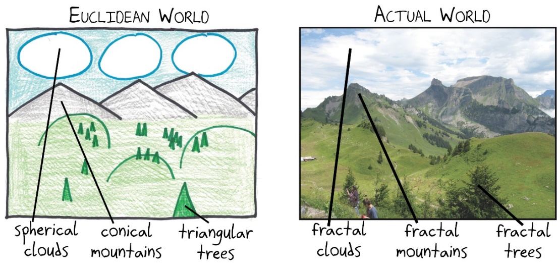 In Euclid's world, clouds are spheres, mountains are cones and trees are triangles. In the actual world, they're all fractals.