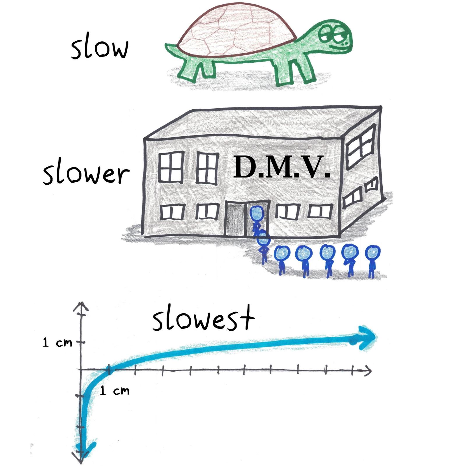 A turtle is slow, the DMV is slower, and the logarithm function, which crawls upward forever, is slowest of all.