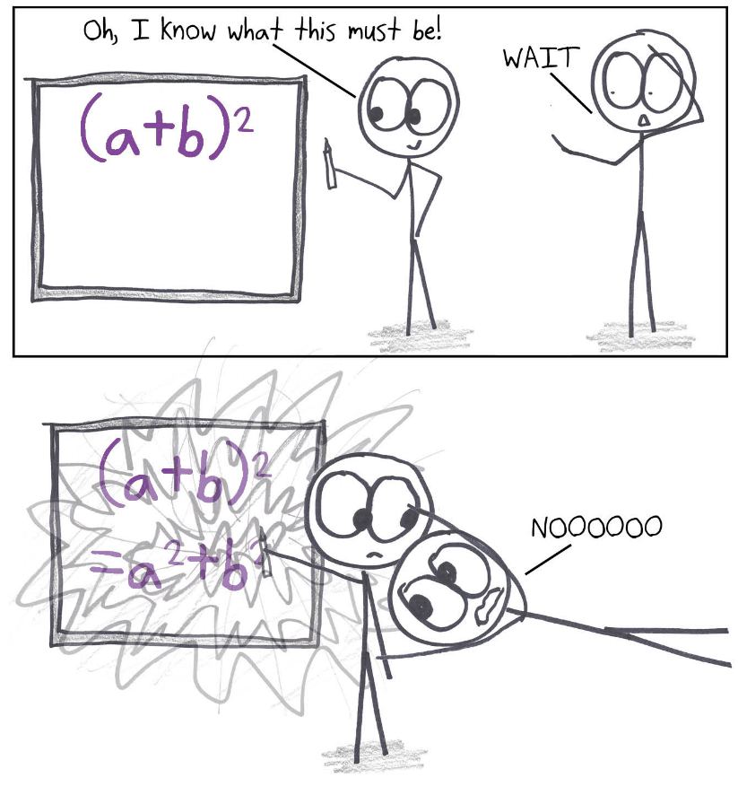A student confidently expands (a + b)² as a² + b², the Freshman's Dream, while a horrified onlooker dives to stop them.