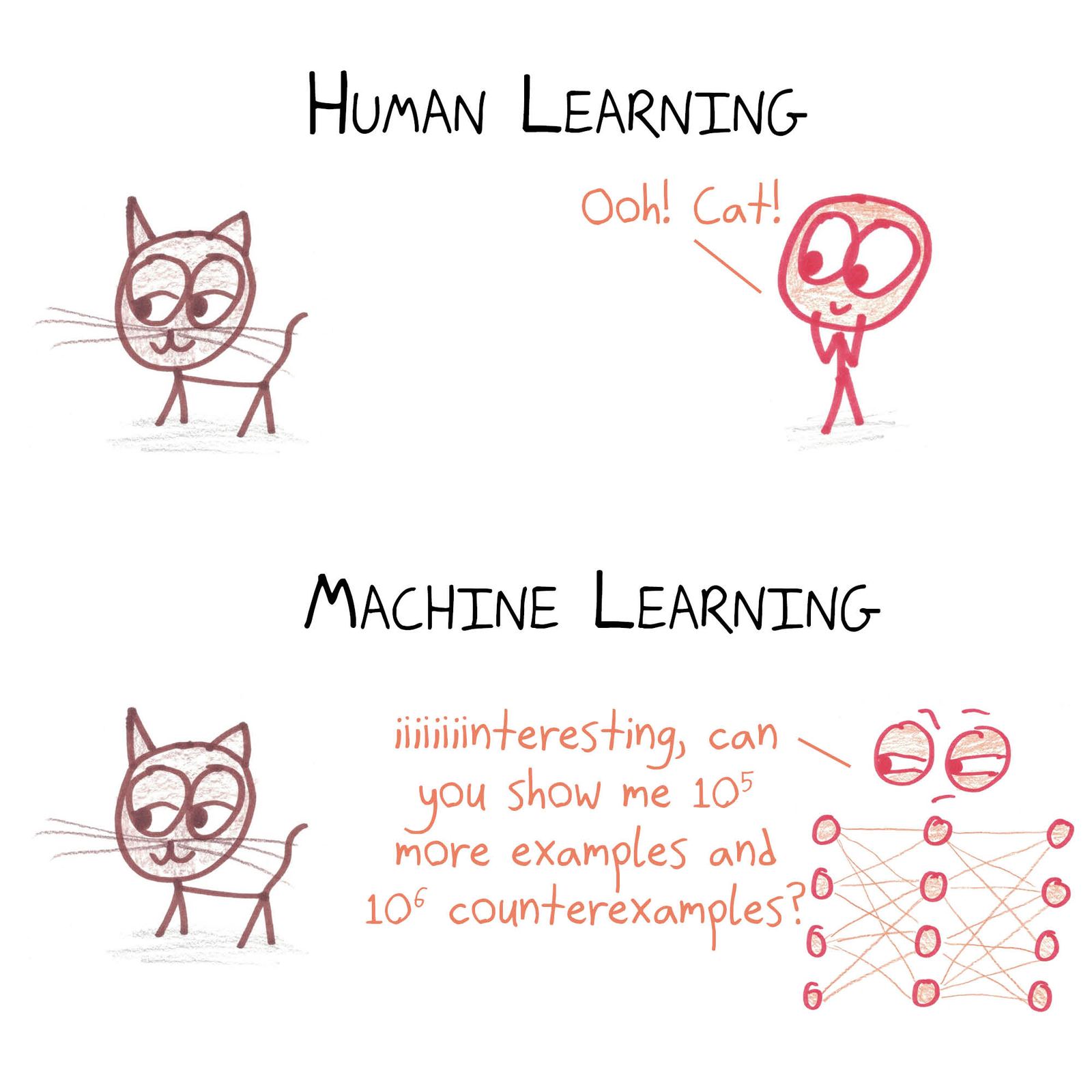 A human recognizes a cat at a glance; a neural network wants a hundred thousand more examples.